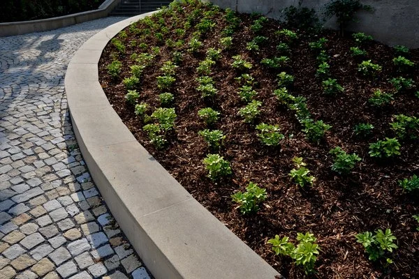 DPMR's Other Services DPMR's Other Services