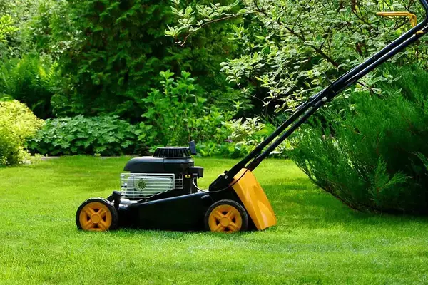 Lawn Care Services Lawn Care Services