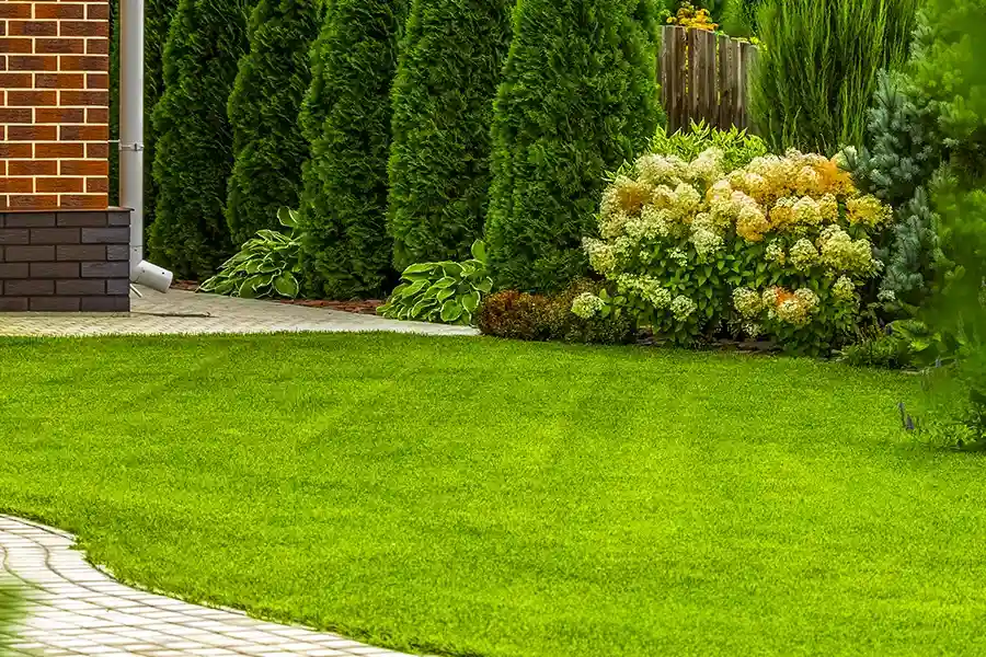 Expert Lawn Care Services Massena, NY