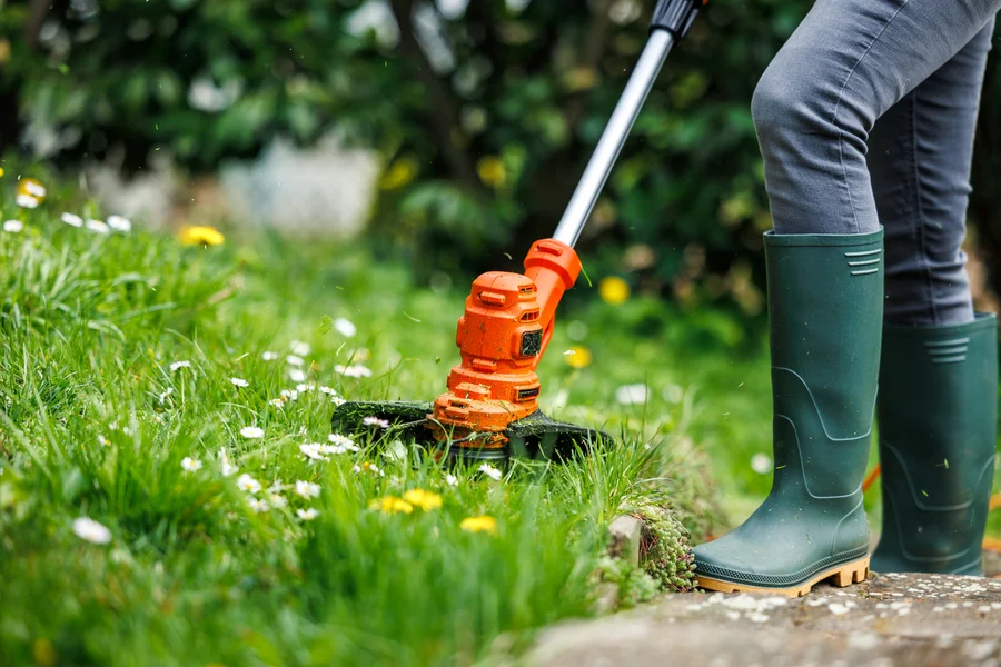 Quality Lawn Care Services Massena, NY