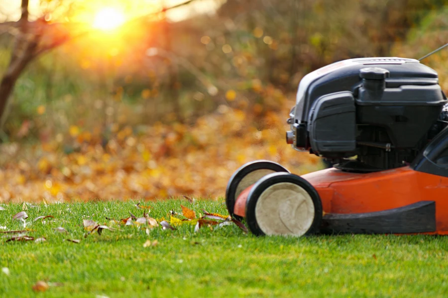 Why Regular Lawn Care Is Essential For A Lush Green Lawn in Massena, NY Why Regular Lawn Care Is Essential For A Lush Green Lawn in Massena, NY